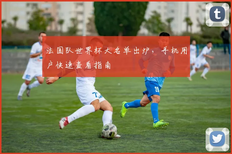 法国队世界杯大名单出炉,手机用户快速查看指南
