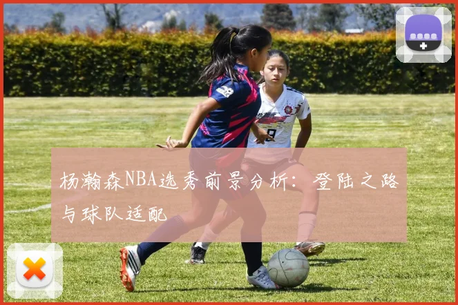 杨瀚森NBA选秀前景分析：登陆之路与球队适配