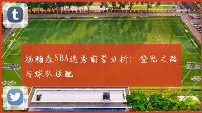 杨瀚森NBA选秀前景分析：登陆之路与球队适配